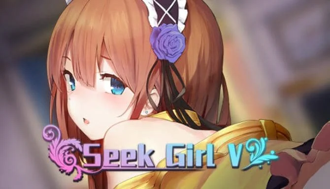 寻找女孩 5/Seek Girl V 容量2.08GB|官方简体中文_LeTaoKe